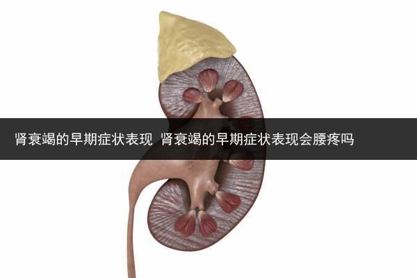 腎衰竭的早期癥狀表現(xiàn) 腎衰竭的早期癥狀表現(xiàn)會腰疼嗎