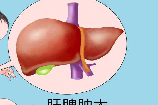 春季如何養肝護肝 春季養肝護肝小方法