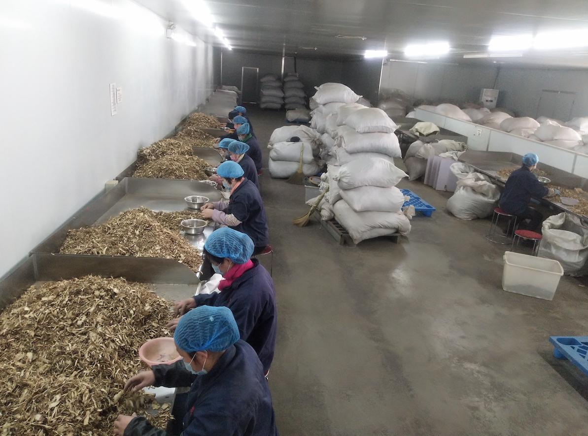 “千年藥都”安國重點中藥企業(yè)復工，保障防疫藥品供應