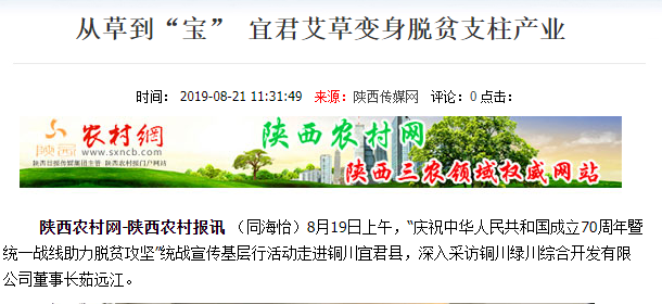 政府助推艾草產(chǎn)業(yè)，共克疫情！小艾草帶動"大扶貧"