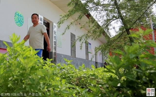 原創(chuàng)
            我和“艾”結緣3年，產值數百萬，讓300多戶貧困村民當上股東