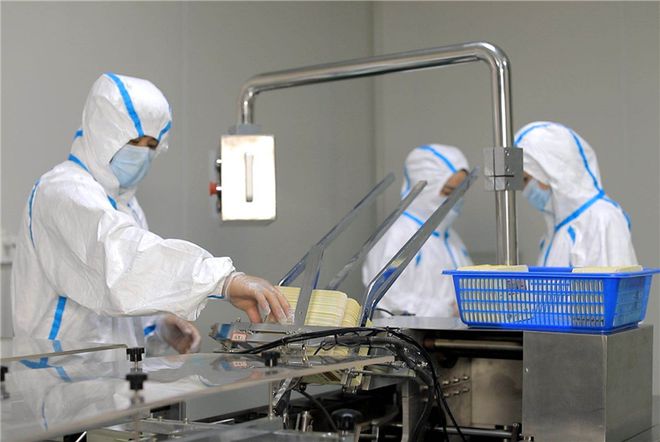 黃岡蘄春:蘄艾企業產銷兩旺 出貨量恢復至去年旺季水平
