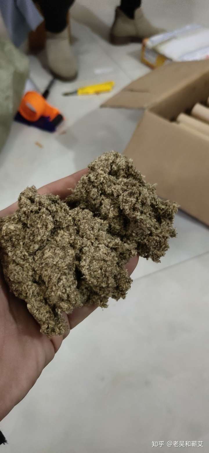 禍乳慈候颯黎攜島剩啥？